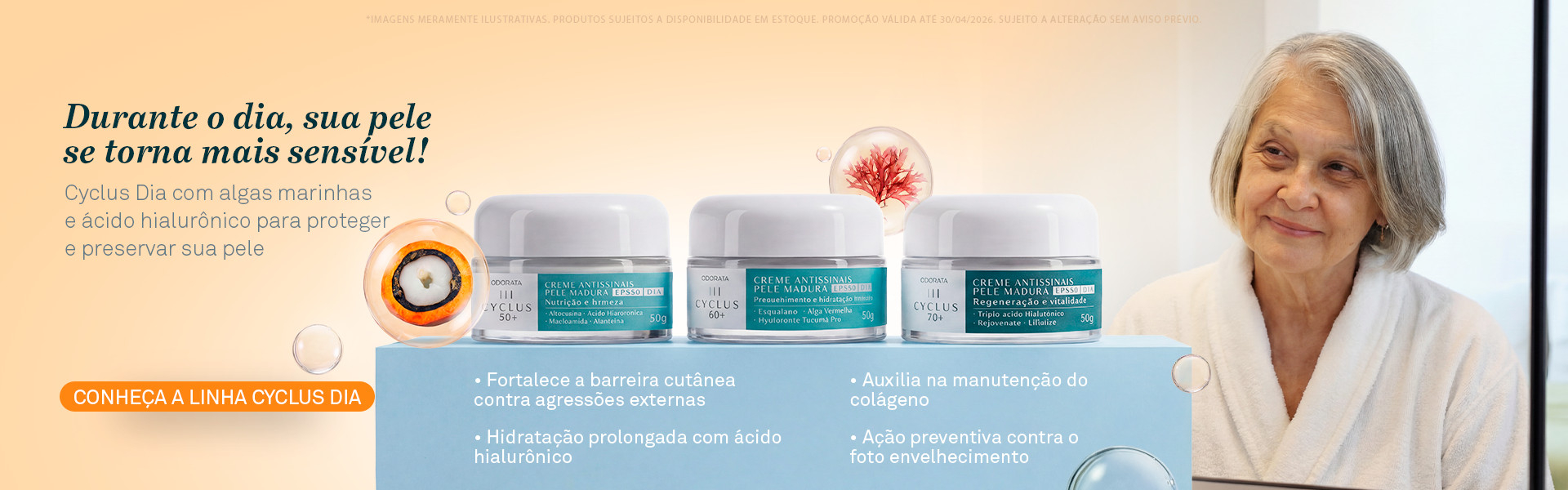 Cyclus Dia Web Cyclus Dia Web