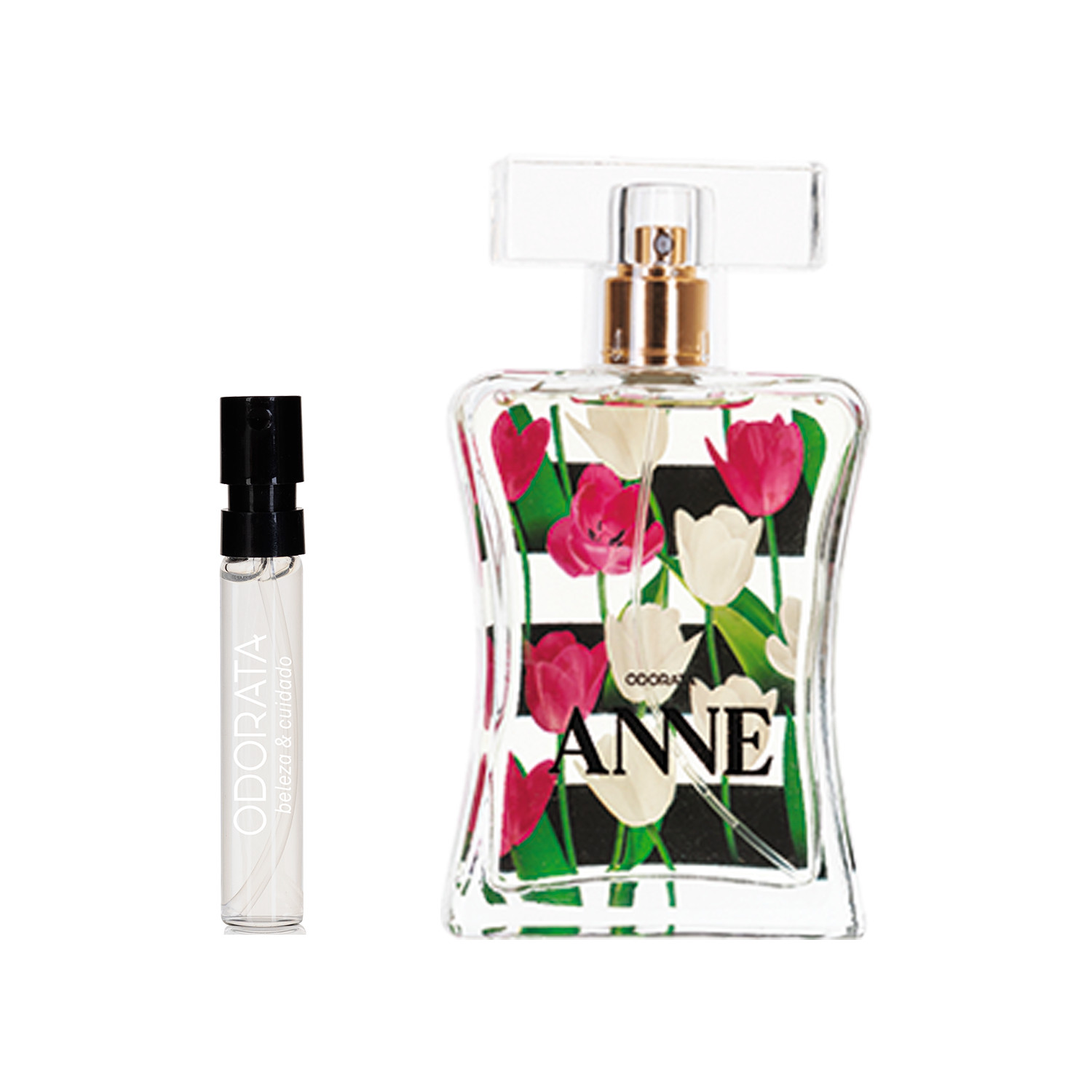 amostra anne